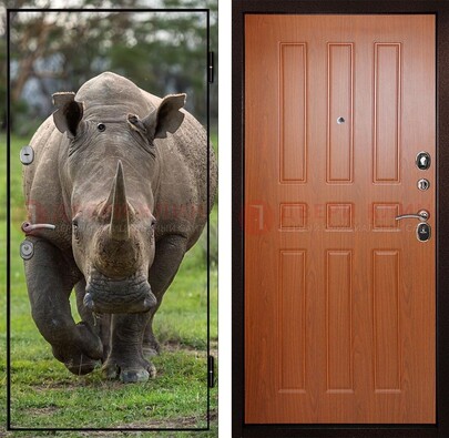 Металлическая дверь с фотопечатью носорога ДФ-31 в Великом Новгороде